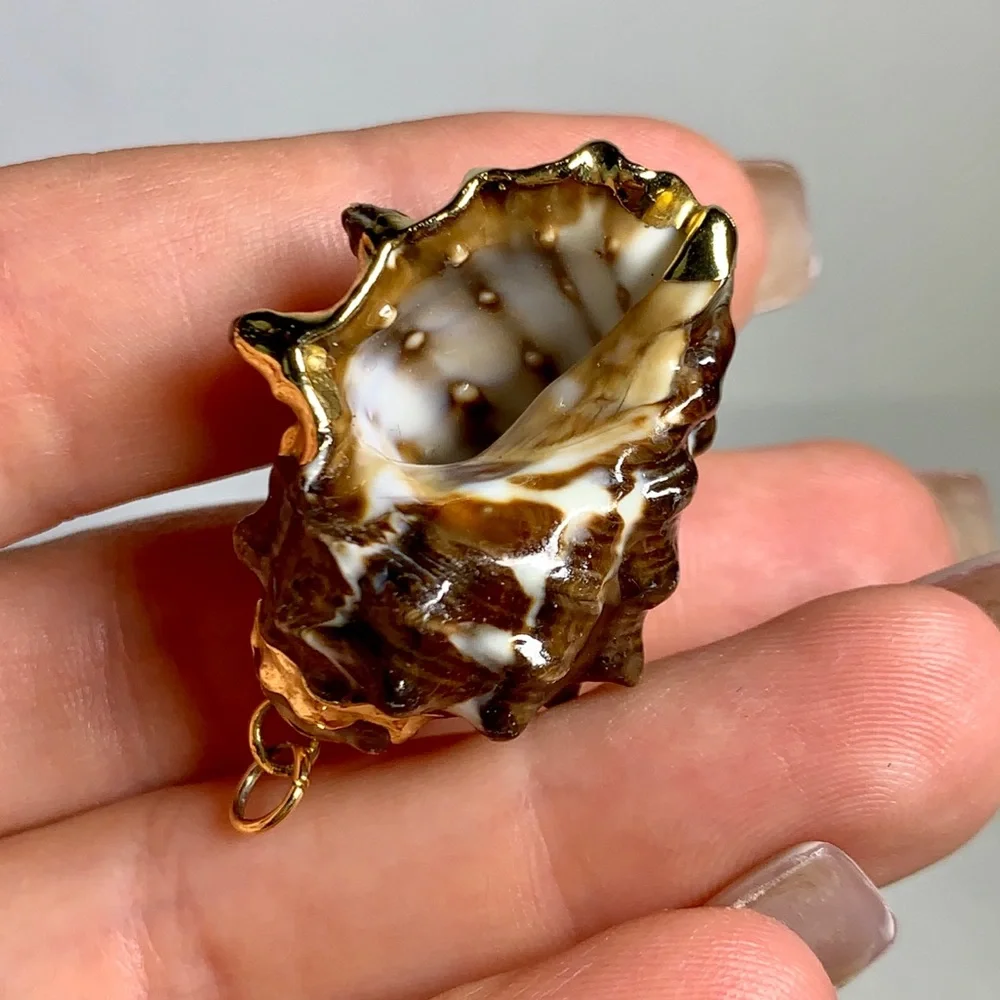 ⭐️ Gold Plated Shell ⭐️ - Picture 1 of 8